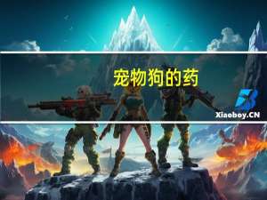 宠物狗的药