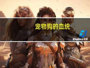 宠物狗的血统