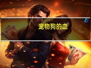 宠物狗的血