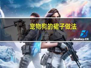 宠物狗的裙子做法