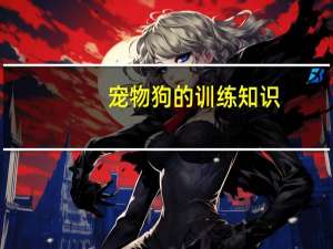 宠物狗的训练知识