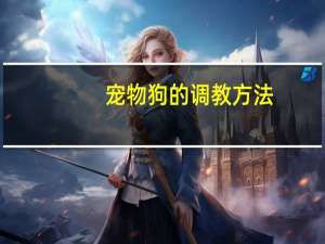 宠物狗的调教方法