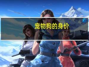 宠物狗的身价