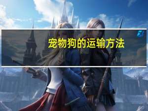 宠物狗的运输方法