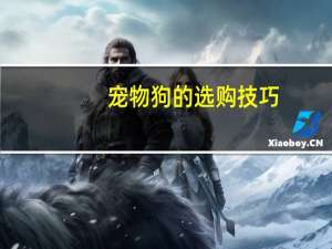 宠物狗的选购技巧