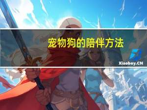 宠物狗的陪伴方法
