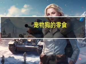 宠物狗的零食