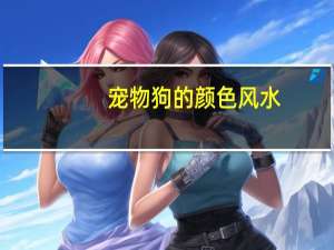 宠物狗的颜色风水