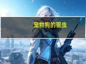 宠物狗的驱虫