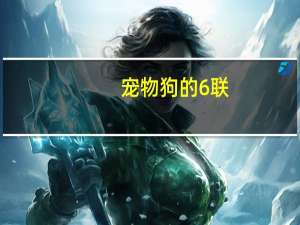 宠物狗的6联