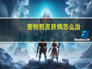 宠物狗皮肤病怎么治