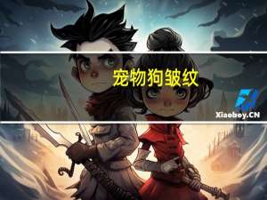 宠物狗皱纹