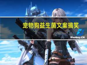 宠物狗益生菌文案搞笑