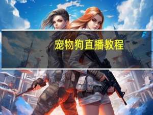 宠物狗直播教程