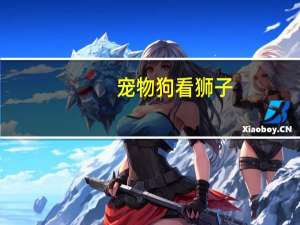 宠物狗看狮子