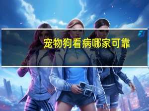 宠物狗看病哪家可靠