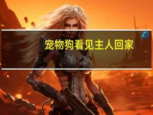 宠物狗看见主人回家