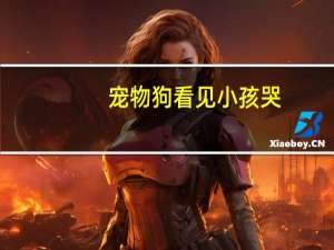 宠物狗看见小孩哭