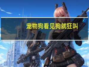 宠物狗看见狗就狂叫