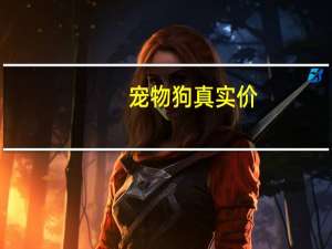 宠物狗真实价