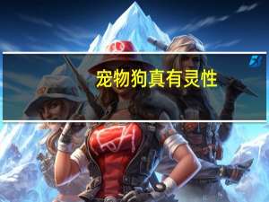 宠物狗真有灵性