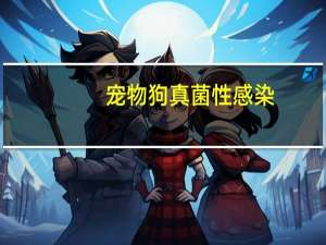 宠物狗真菌性感染