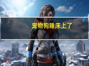 宠物狗睡床上了
