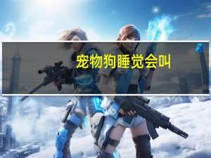 宠物狗睡觉会叫