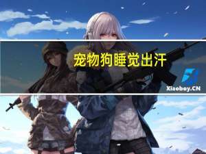 宠物狗睡觉出汗
