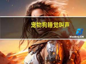 宠物狗睡觉叫声