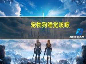宠物狗睡觉咳嗽