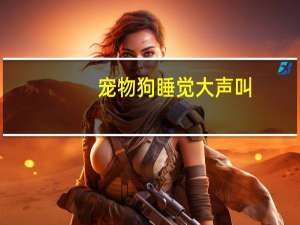 宠物狗睡觉大声叫
