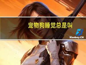 宠物狗睡觉总是叫
