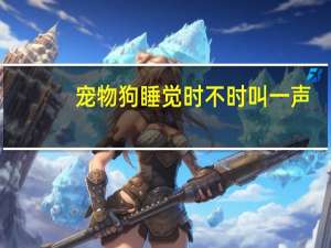 宠物狗睡觉时不时叫一声