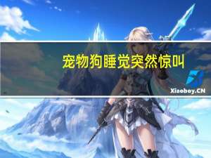 宠物狗睡觉突然惊叫