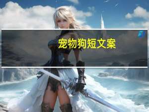 宠物狗短文案