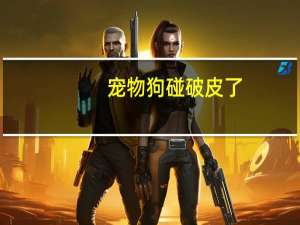 宠物狗碰破皮了