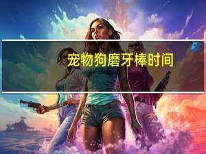 宠物狗磨牙棒时间
