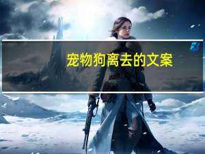 宠物狗离去的文案