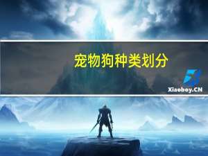 宠物狗种类划分