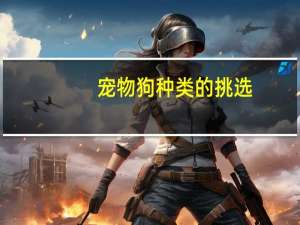 宠物狗种类的挑选