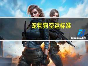 宠物狗空运标准