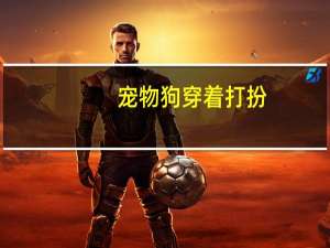 宠物狗穿着打扮