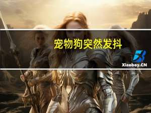 宠物狗突然发抖