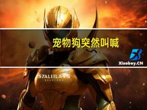 宠物狗突然叫喊