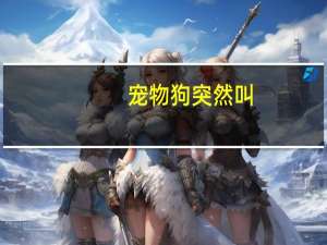 宠物狗突然叫