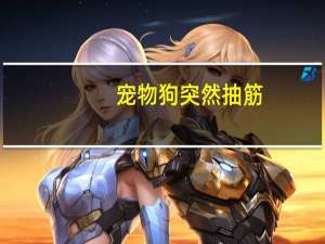 宠物狗突然抽筋