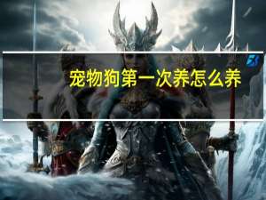 宠物狗第一次养怎么养