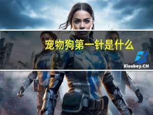 宠物狗第一针是什么