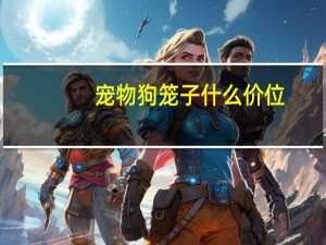 宠物狗笼子什么价位